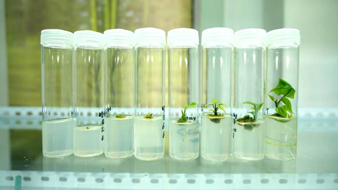 ���g22��(�й���)�������-�����о�ϲ