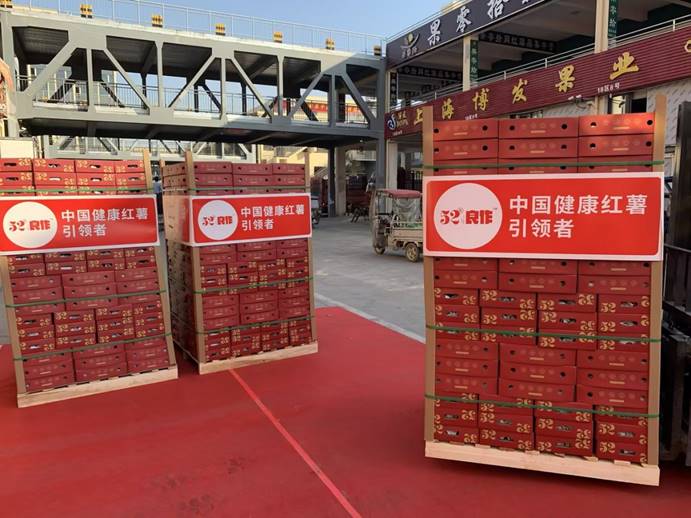 ���g22��(�й���)�������-�����о�ϲ