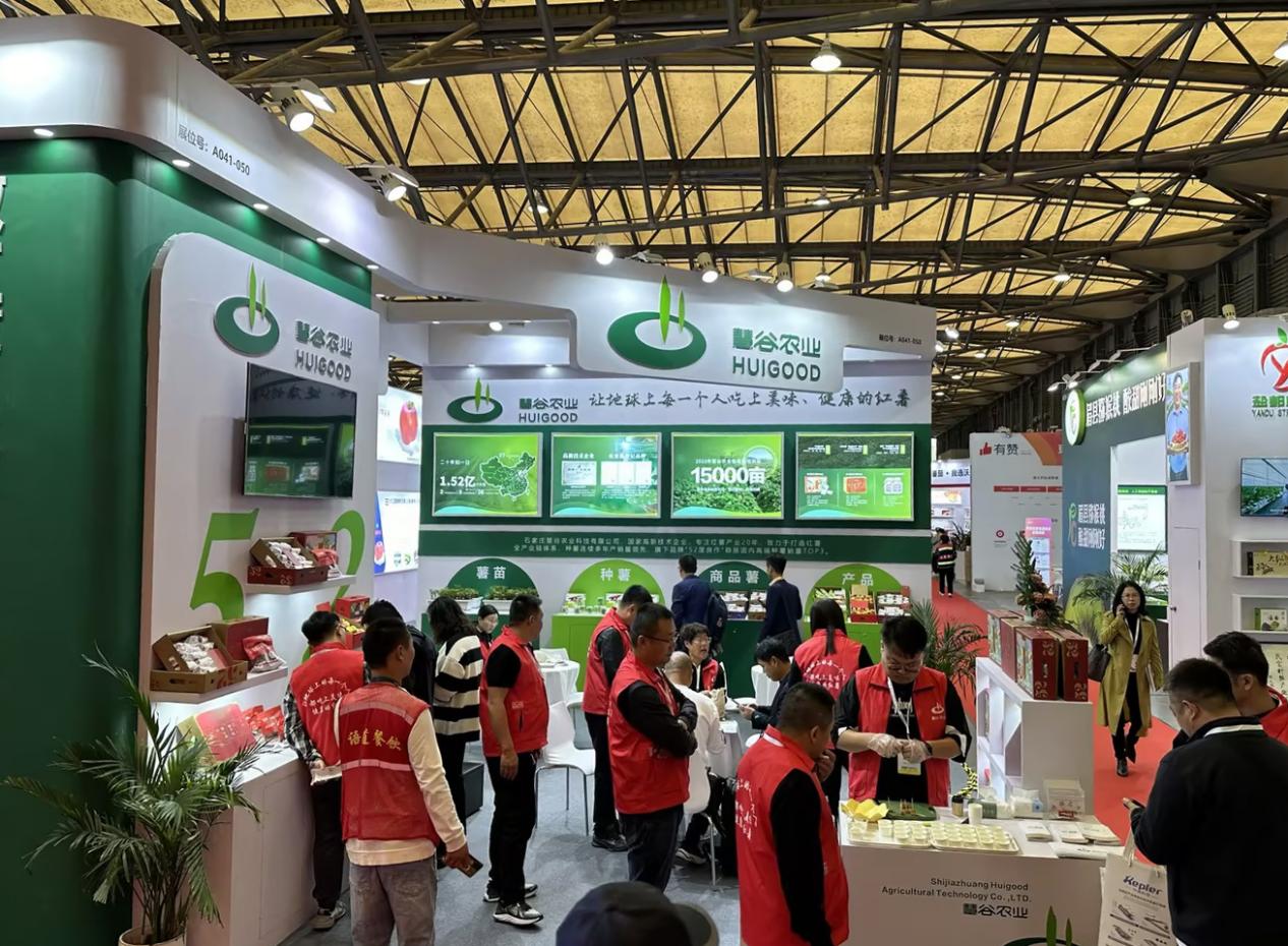 ���g22��(�й���)�������-�����о�ϲ