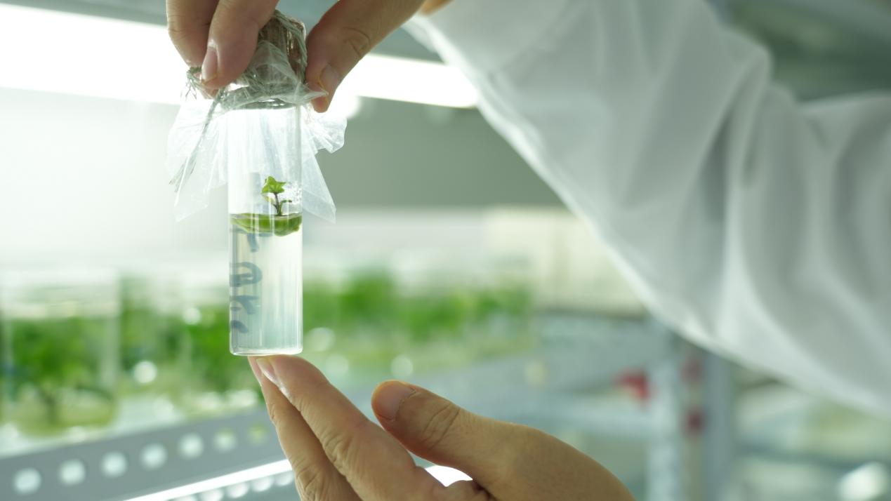 ���g22��(�й���)�������-�����о�ϲ