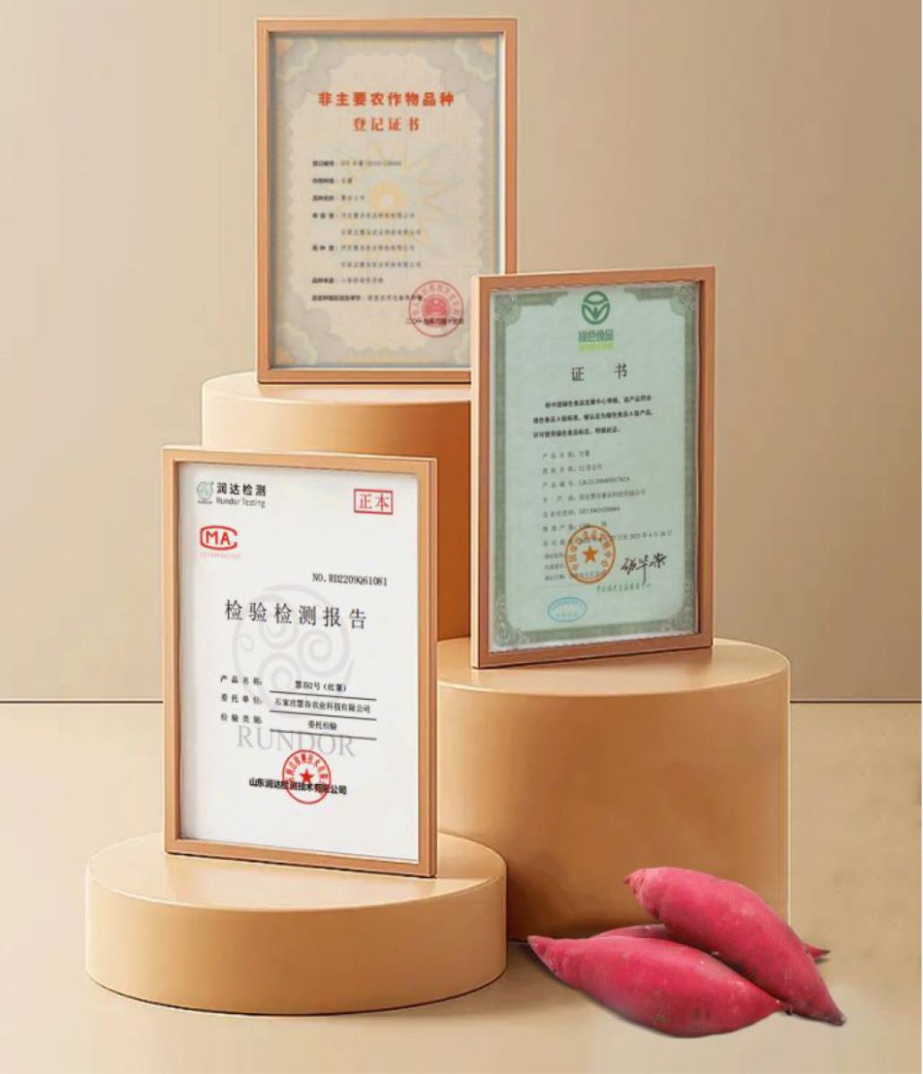 ���g22��(�й���)�������-�����о�ϲ