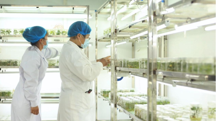 ���g22��(�й���)�������-�����о�ϲ