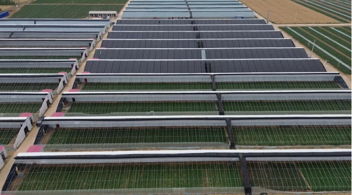 ���g22��(�й���)�������-�����о�ϲ