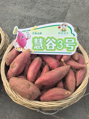 ���g22��(�й���)�������-�����о�ϲ