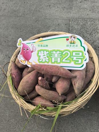 ���g22��(�й���)�������-�����о�ϲ
