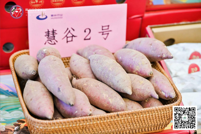 ���g22��(�й���)�������-�����о�ϲ