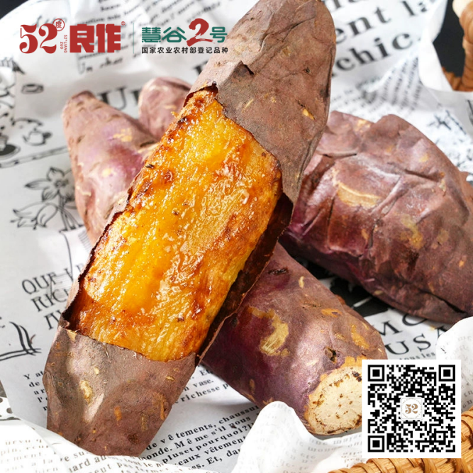 ���g22��(�й���)�������-�����о�ϲ