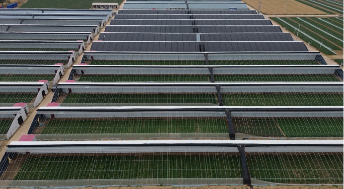 ���g22��(�й���)�������-�����о�ϲ