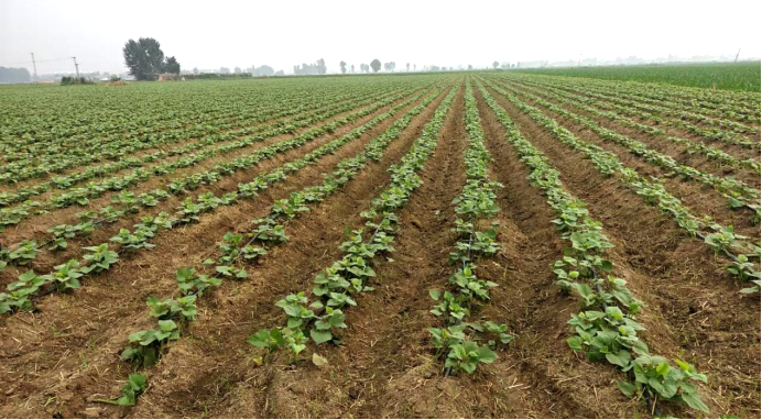 ���g22��(�й���)�������-�����о�ϲ