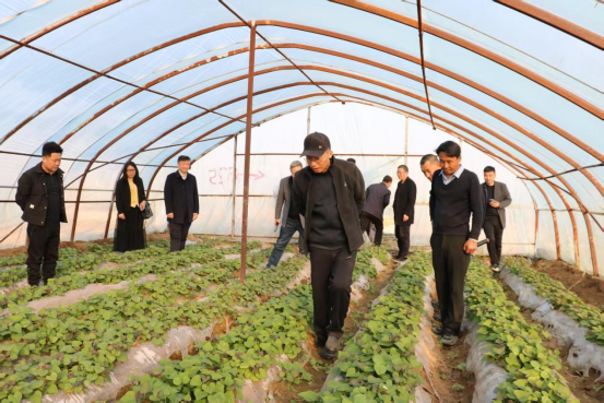 ���g22��(�й���)�������-�����о�ϲ