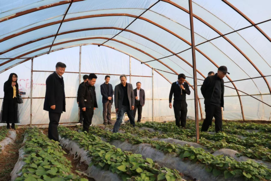 ���g22��(�й���)�������-�����о�ϲ