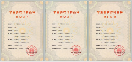 ���g22��(�й���)�������-�����о�ϲ