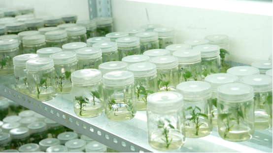 ���g22��(�й���)�������-�����о�ϲ