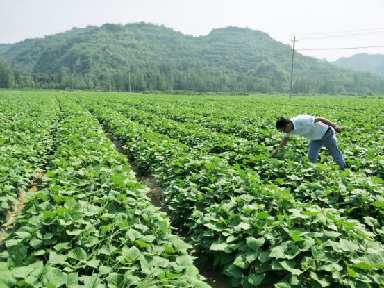 ���g22��(�й���)�������-�����о�ϲ