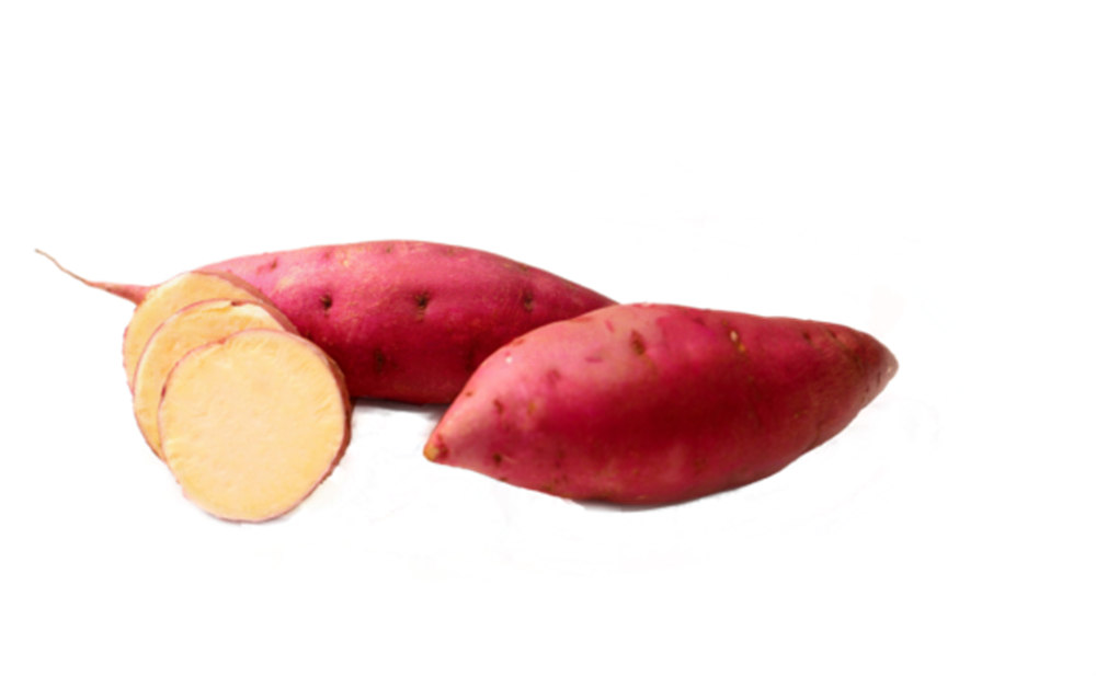 ���g22��(�й���)�������-�����о�ϲ