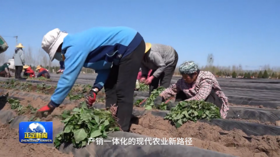 ���g22��(�й���)�������-�����о�ϲ