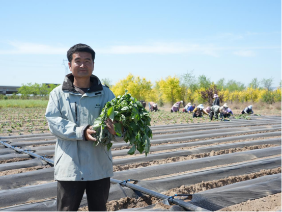 ���g22��(�й���)�������-�����о�ϲ