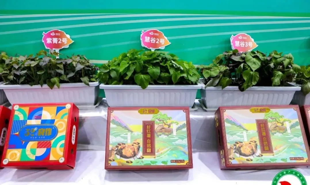 ���g22��(�й���)�������-�����о�ϲ