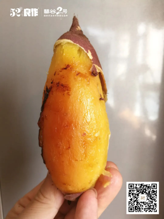 ���g22��(�й���)�������-�����о�ϲ