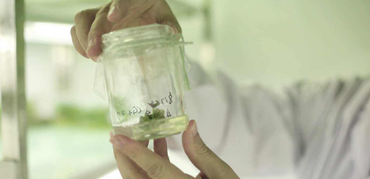 ���g22��(�й���)�������-�����о�ϲ