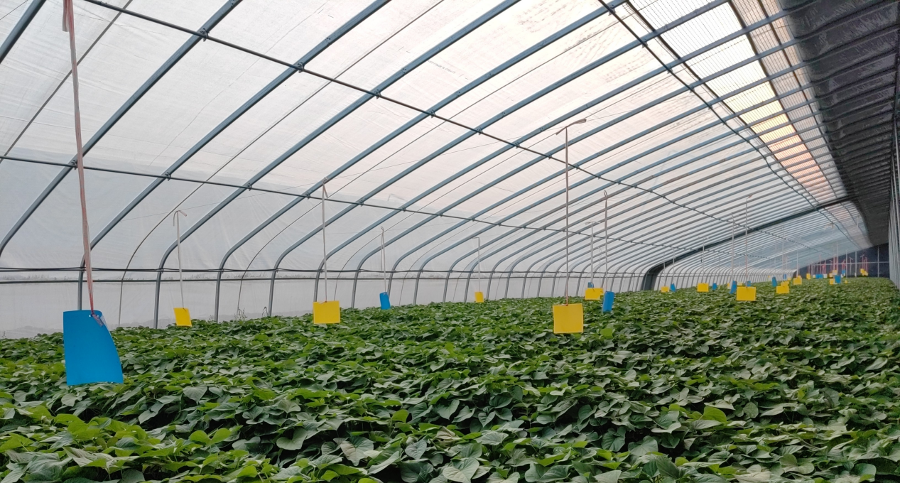 ���g22��(�й���)�������-�����о�ϲ