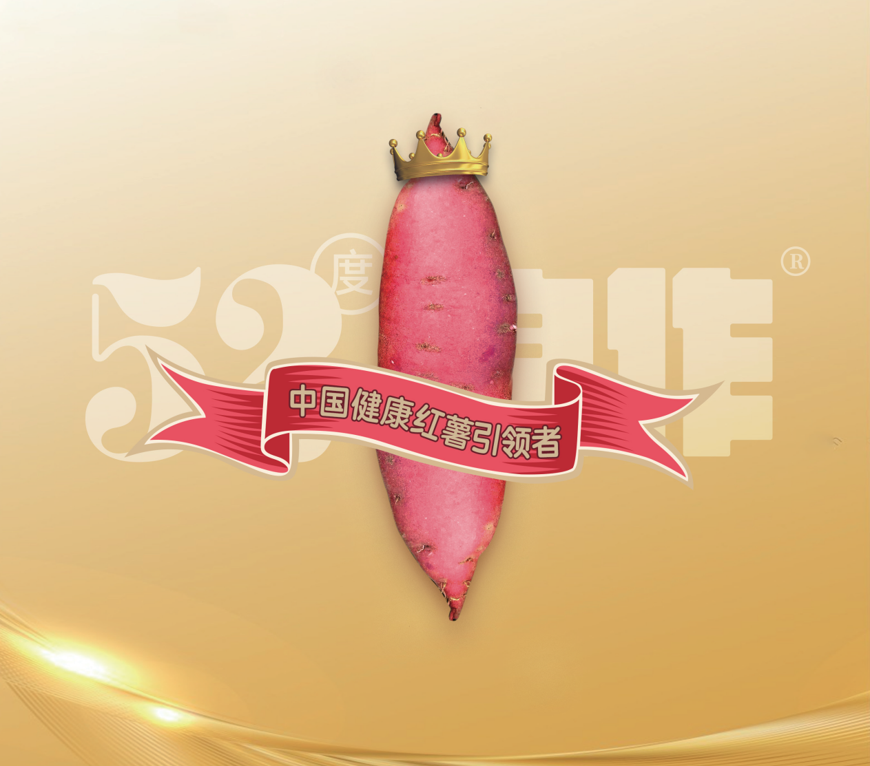 ���g22��(�й���)�������-�����о�ϲ