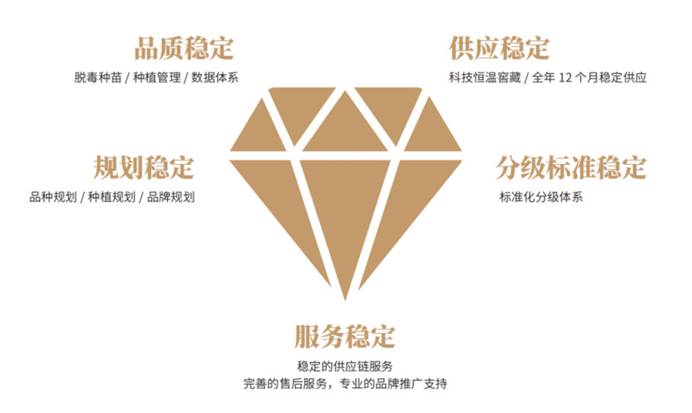 ���g22��(�й���)�������-�����о�ϲ