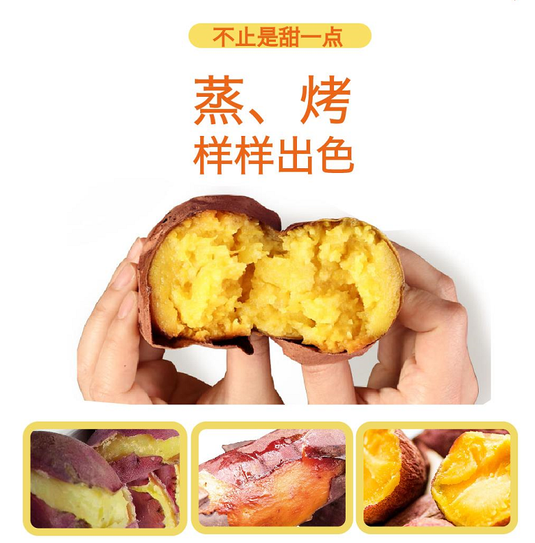 ���g22��(�й���)�������-�����о�ϲ