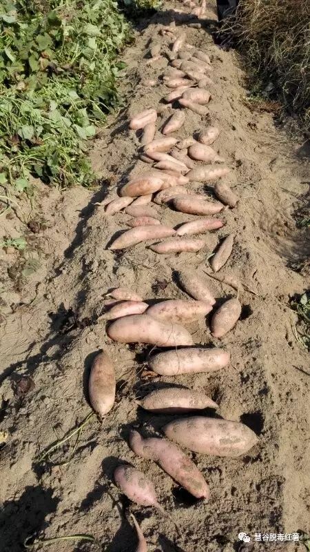 ���g22��(�й���)�������-�����о�ϲ