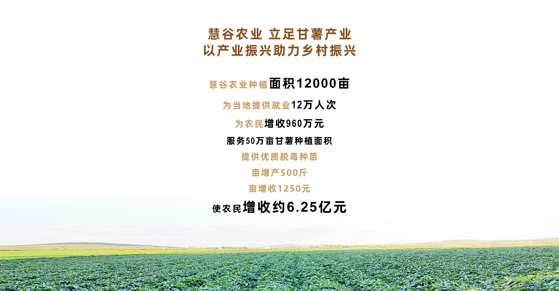 ���g22��(�й���)�������-�����о�ϲ