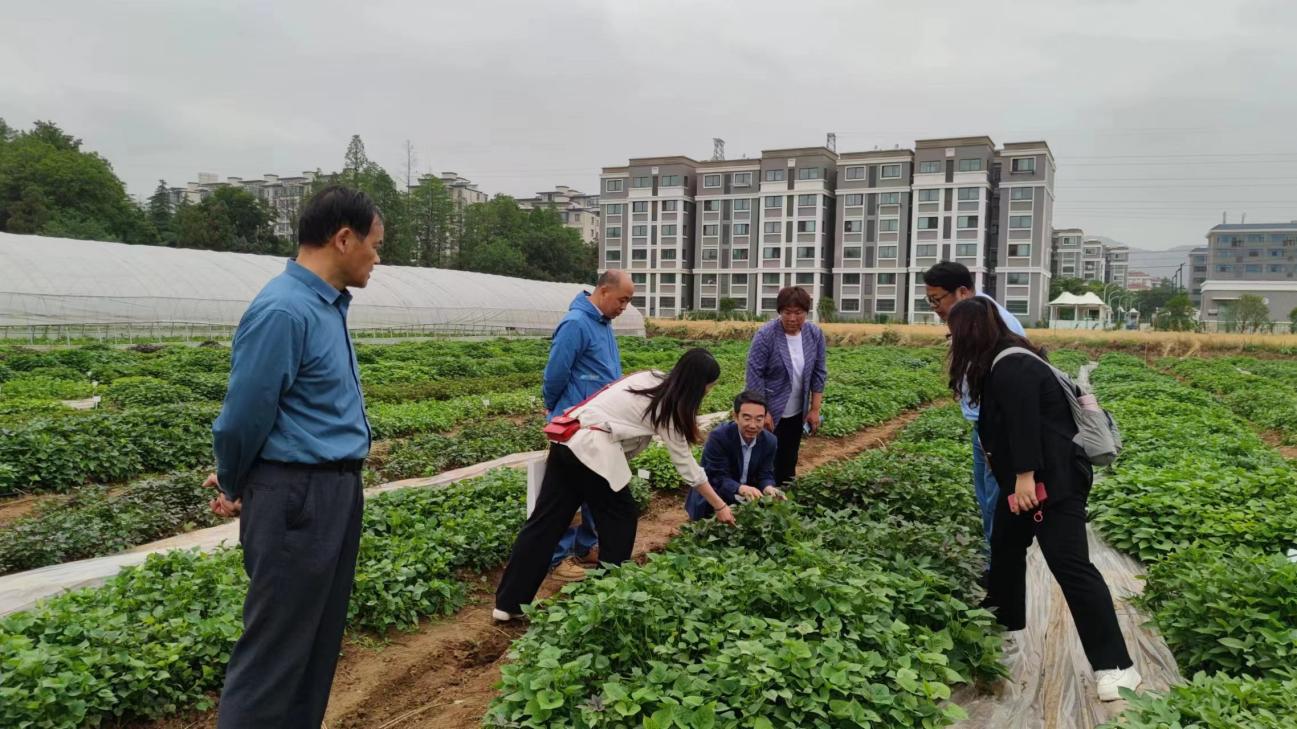 ���g22��(�й���)�������-�����о�ϲ