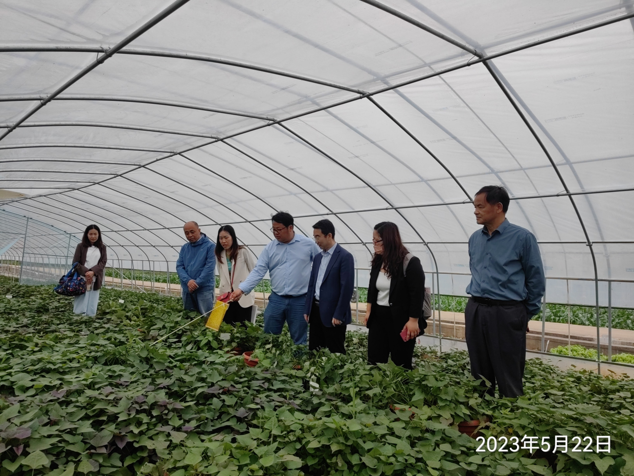 ���g22��(�й���)�������-�����о�ϲ